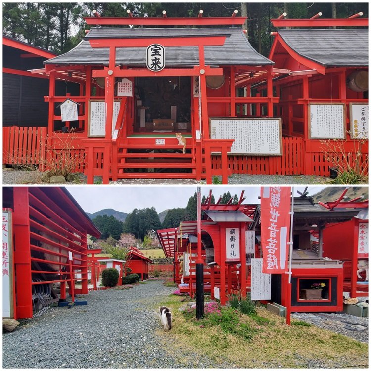 ⛩️ 보물맞이 신사 (호라이호라이 진자) 이미지 5